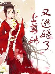 上尊她又逃婚了 封面