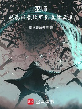 巫师，从基础魔纹肝到真理之主 封面
