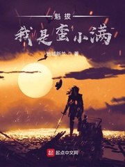 魁拔：我是蛮小满 封面