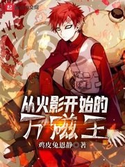 从火影开始的万磁王 封面