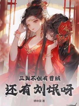 三国不但有曹贼，还有刘氓呀 封面