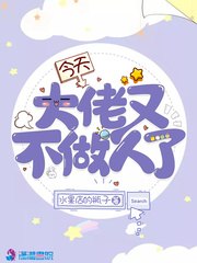 今天大佬又不做人了 封面