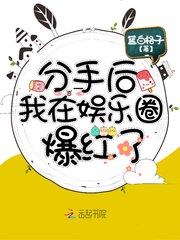 分手后我在娱乐圈爆红了 封面