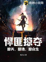 悍匪掠夺，掠天、掠地、掠众生 封面