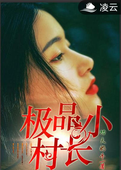 极品小村长 封面