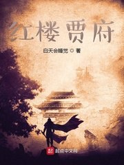 红楼贾府 封面
