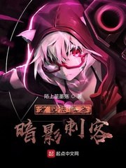 全职法师之暗影刺客 封面