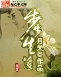 步步生莲 封面