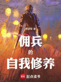 佣兵战纪 封面