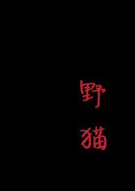 野猫（1v1 H） 封面