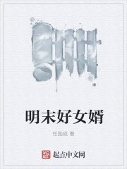 明末好女婿 封面