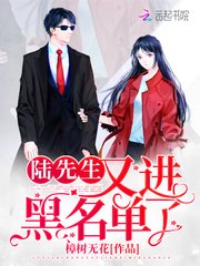 陆先生又进黑名单了 封面