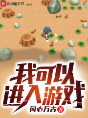 我可以进入游戏 封面