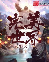 完美世界 封面