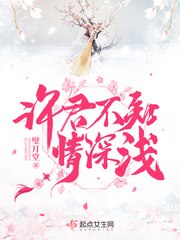 许君不知情深浅 封面