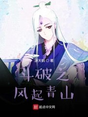 斗破之风起青山 封面