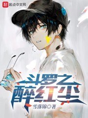 斗罗之醉红尘 封面