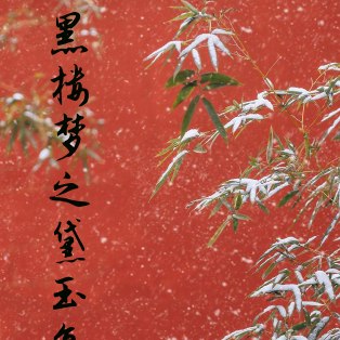 黑楼梦之黛玉复仇记 封面