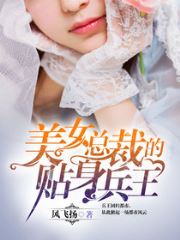 美女总裁的贴身兵王杨风陈梦瑶 封面