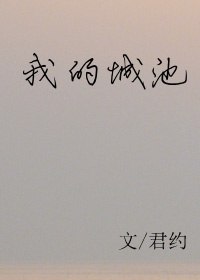 我的城池 封面