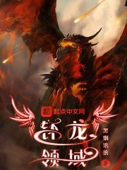 钚龙领域 封面