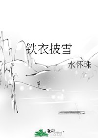 铁衣披雪 封面