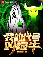 我的代号叫绿牛 封面