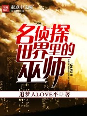 名侦探世界里的巫师 封面