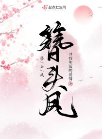 簪头凤 封面