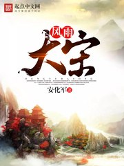 风雨大宋 封面
