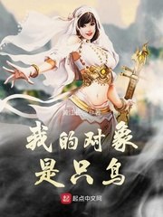 我的对象是只鸟 封面