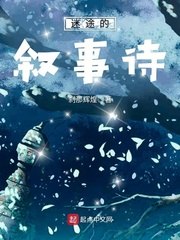 迷途的叙事诗 封面