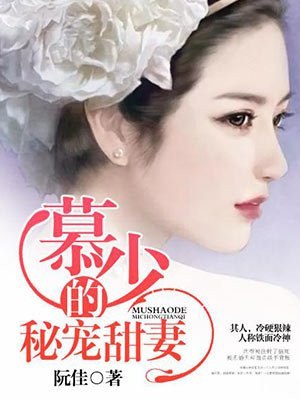 沈微慕南深 封面