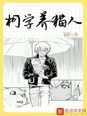 柯学养猫人 封面