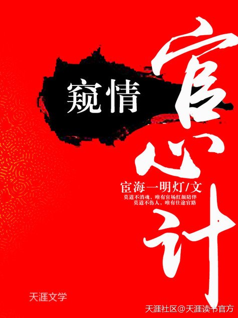 窥情：官心计 封面