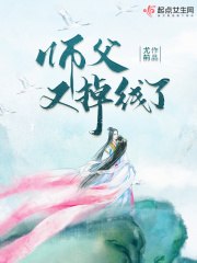 师父又掉线了 封面