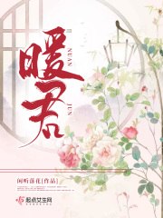 暖君 封面