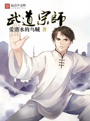 武道宗师 封面