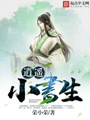逍遥小书生 封面
