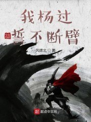 我杨过誓不断臂 封面