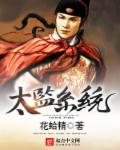 太监系统 封面