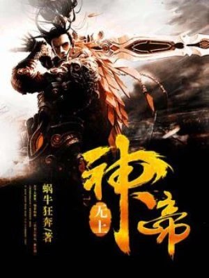 无上神帝 封面