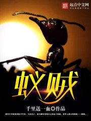 蚁贼 封面