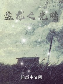 盘龙之光暗 封面