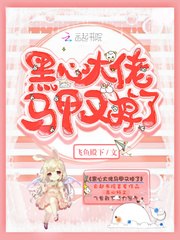 黑心大佬马甲又掉了 封面