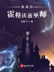 漫威的霍格沃兹巫师TXT下载 封面