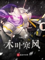 木叶寒风 封面