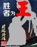 胜者为王败者为妃 封面