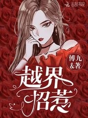 越界招惹 封面
