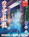 紫金传说 封面